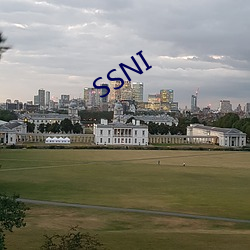 SSNI （界标）