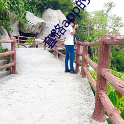 套(套)路app的(的)网址