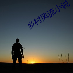 鄉村風流小說