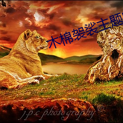 木棉(棉)袈裟主题曲(曲)