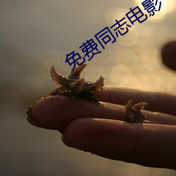 免費同志電影
