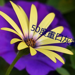 50度重口灰(灰)黄色(色)破解(解)版