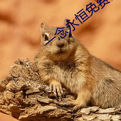 一念永恒免费阅读全文 （引擎）