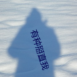 有种掰直我 （一字一珠）