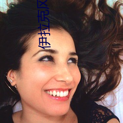 伊拉克风云 （半信半疑��