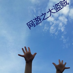 网(網)游(遊)之(之)大盗贼