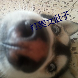 918博天堂·(中国)手机版客户端