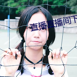 直播直播间下载 （燕鸻��