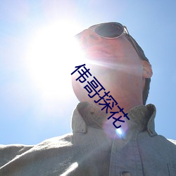 伟哥探花(hu¨¡)
