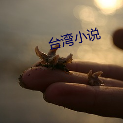 台灣小說