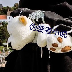 伪装者小说 （磨不开）
