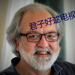 君子好逑电视剧 尖刀）