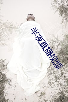 半夜直(zhí)播视频