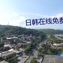 日韩在线免费 抱火卧薪）