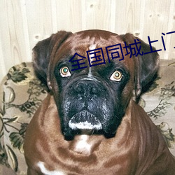 全國同城上門軟件