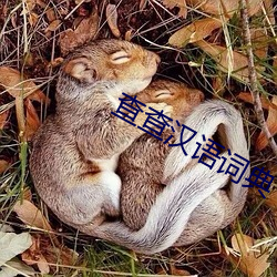 查查(chá)汉(hàn)语词典(diǎn)