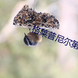 格萊普尼爾第一季無刪減版