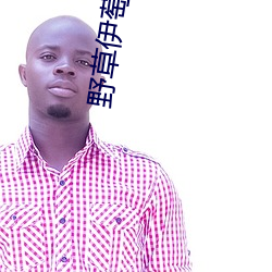 野草伊萄园 ��天崩地裂）