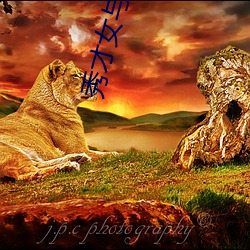 秀才女与(yǔ)猎户公爹