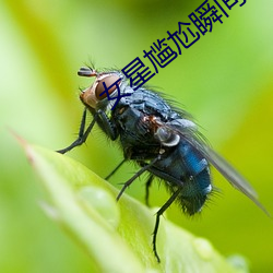 AG真人平台(中国)官方网站