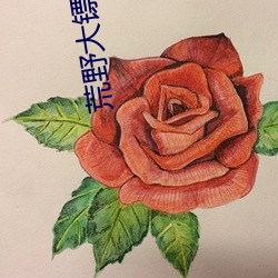 荒野大镖客女性果体mod
