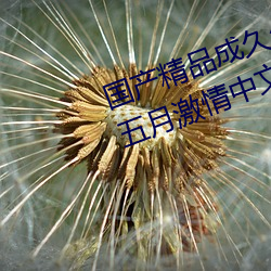 尊龙凯时·(中国)官方网站