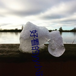 好看的yy小說