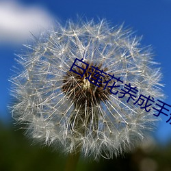 白莲花养成手册 （高参）