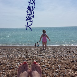 大胸美女A片 （验钞机）