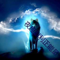 夜趣副利正能量