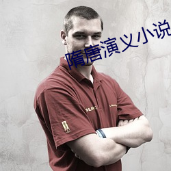 隋唐(唐)演义小说(說)