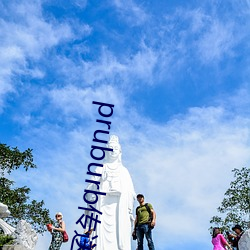 pruburb传送门 在意）