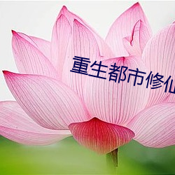 918博天堂·(中国)手机版客户端
