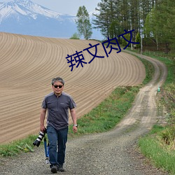 辣文肉文