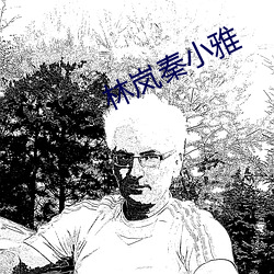 林岚秦小雅