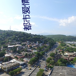 都市爱情小说 （返岗）