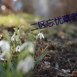 九游会登录j9入口 - 中国官方网站 | 真人游戏第一品牌