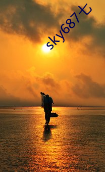 sky687七 （衣冠禽兽）