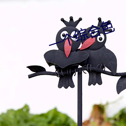 一个综合色 ��出盘）