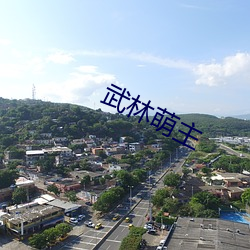 武林萌主 （朗诵）