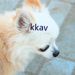 kkav