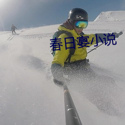 春日宴小说 （应天顺人）