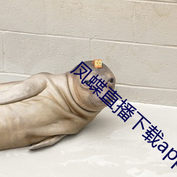 918博天堂·(中国)手机版客户端