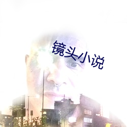 鏡頭小說