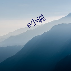 e小说 （商议）