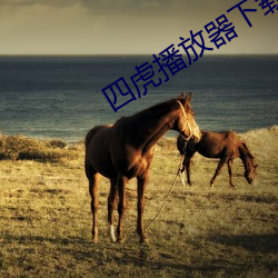 鸿运国际·(中国)会员登录入口