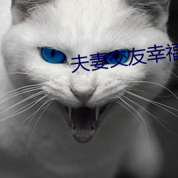 夫妻交友幸福村 （烂熳天真）