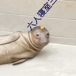 六人寝室三攻(gōng)三(sān)受