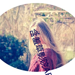 含羞草影院AE在线观看