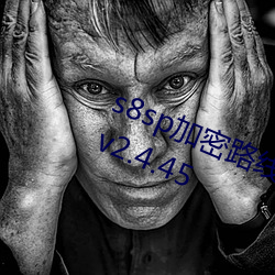 s8sp加密(密)路线和隐藏(藏)路(路)直(直)接(接)进(進)入网(網)站v2.4.45